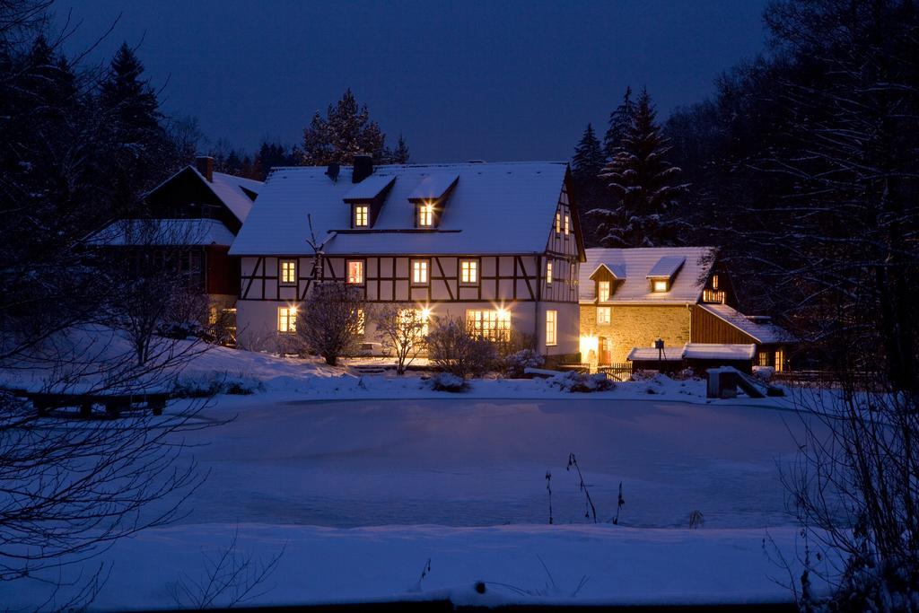 Frankenau Romantik Hotel Landhaus Baerenmuehle מראה חיצוני תמונה