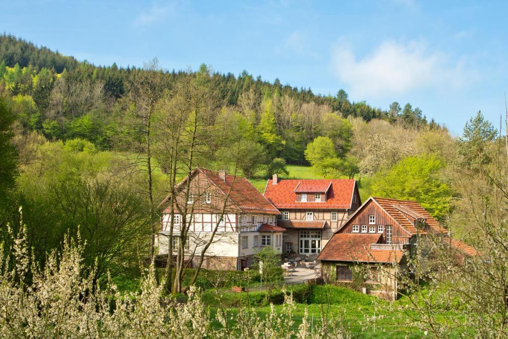 Frankenau Romantik Hotel Landhaus Baerenmuehle מראה חיצוני תמונה